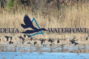 Delta Waterfowl - The Duck Hunters Organization